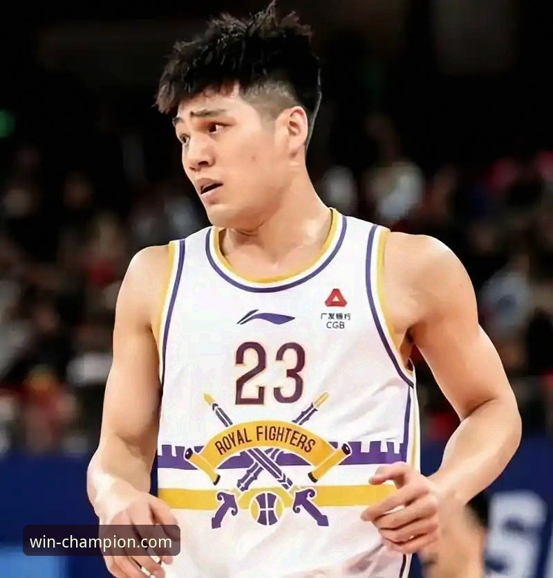 冠军体育平台使用教程怎么下载 CBA状元遇回避条款 vs 体育平台观赛体验:陈国豪事件全程回顾与深度对比